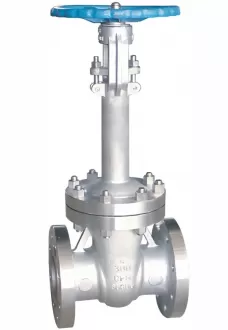 Cryogenic gate valve,gate valve