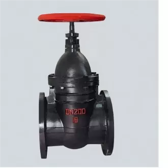 Cast iron wedge gate valve