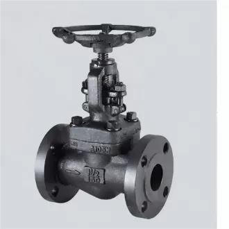 Forged steel flanged globe valve