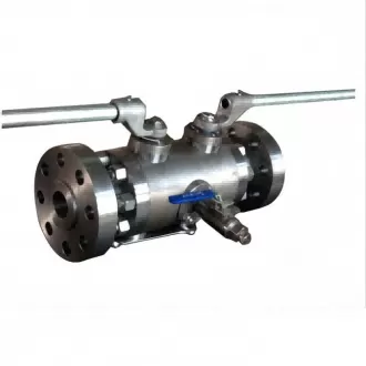 Double blowdown ball valve