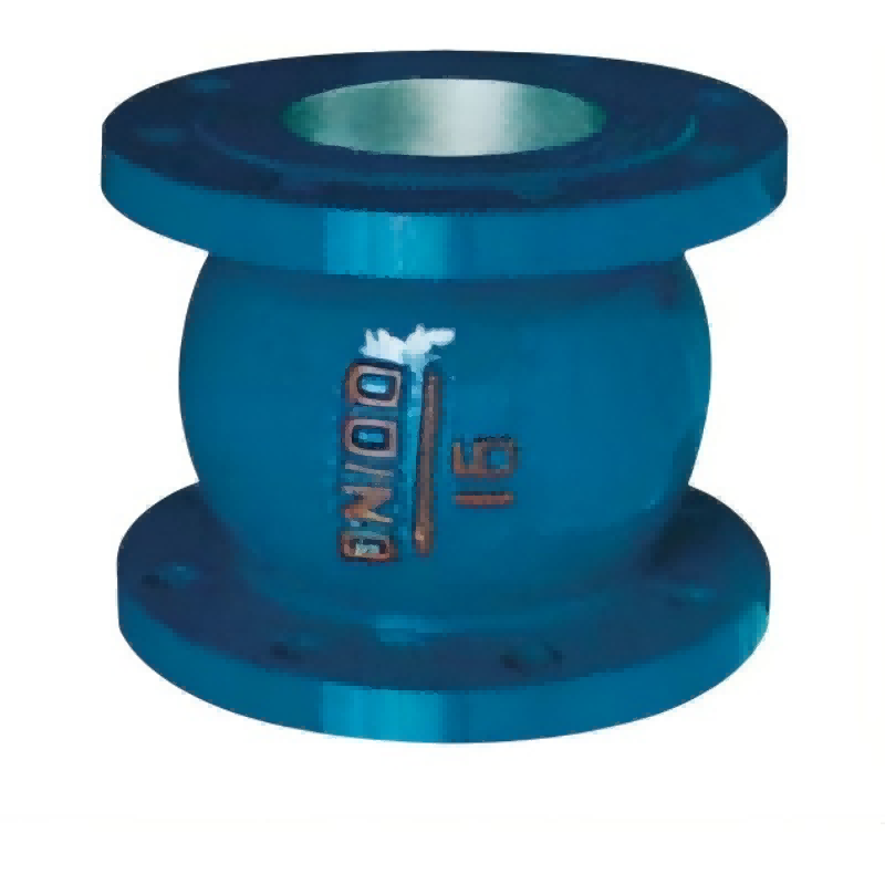 Silent check valve
