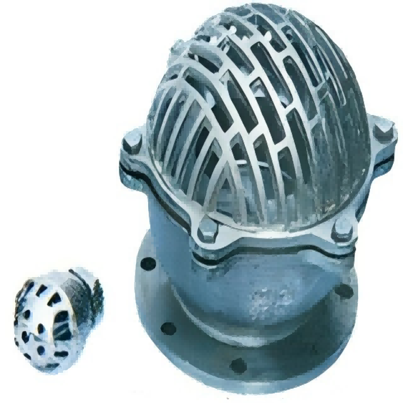 Foot valve