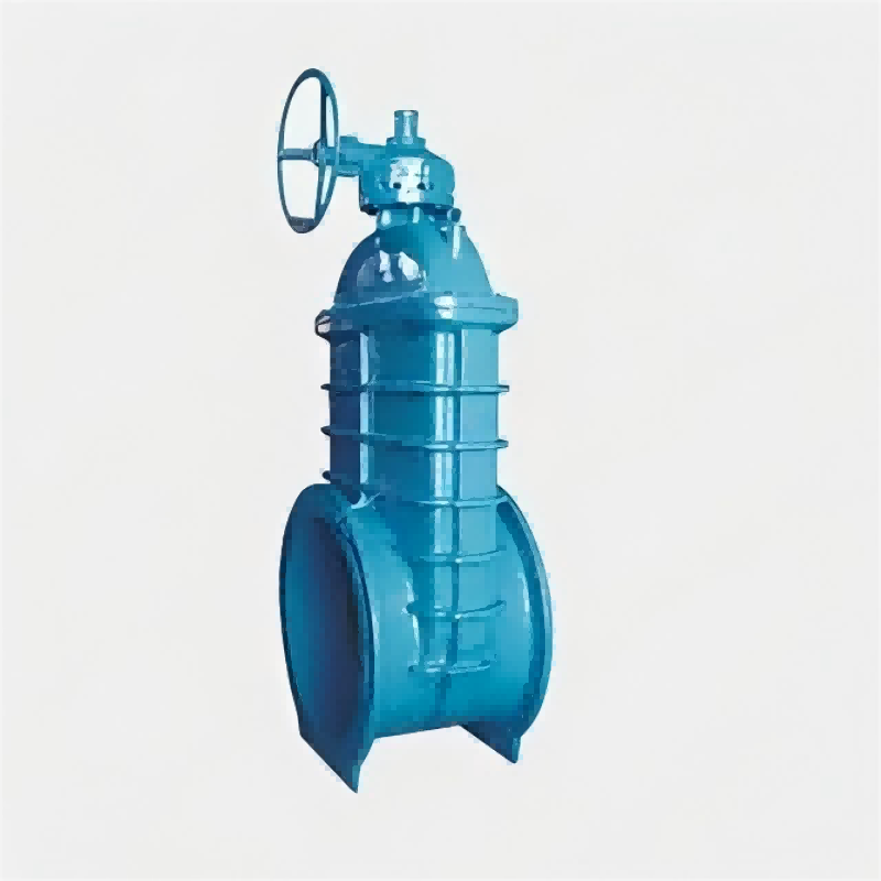Large-diameter elastic seat gate sealing, elastic seat gate sealing