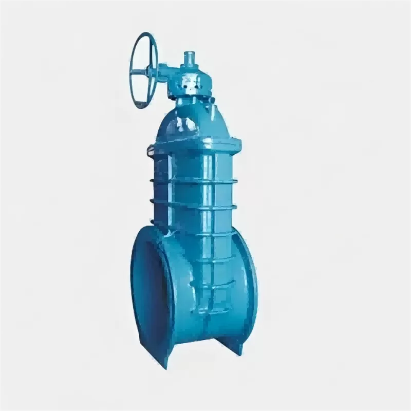 Large-diameter elastic seat gate sealing, elastic seat gate sealing