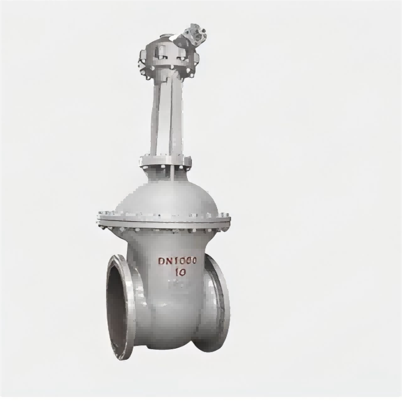 Large-diameter gate valve,gate valve
