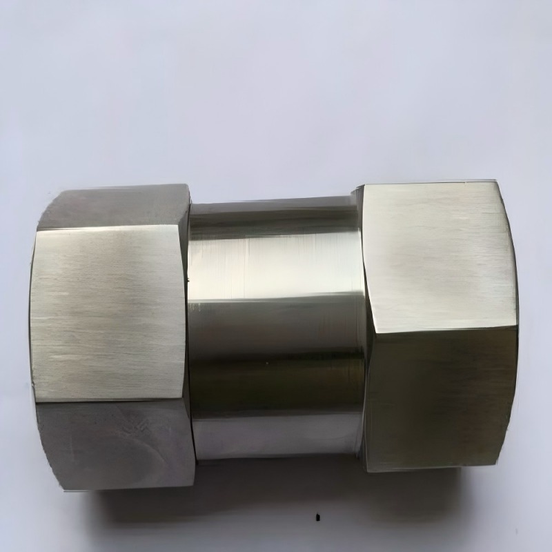Check valve