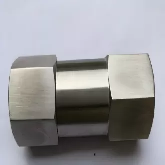 Check valve