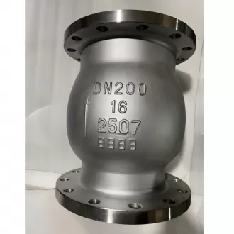 Double-ended stainless steel vertical check valve 2205-2507,check valve 2205-2507