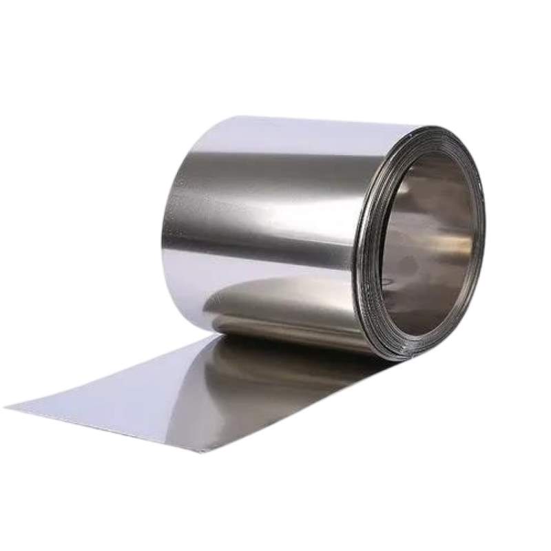  46S20 Strip/Shim/Foil | 1.0727 Strip/Shim/Foil 