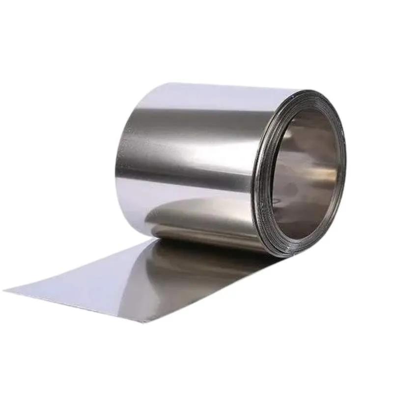  46S20 Strip/Shim/Foil | 1.0727 Strip/Shim/Foil 